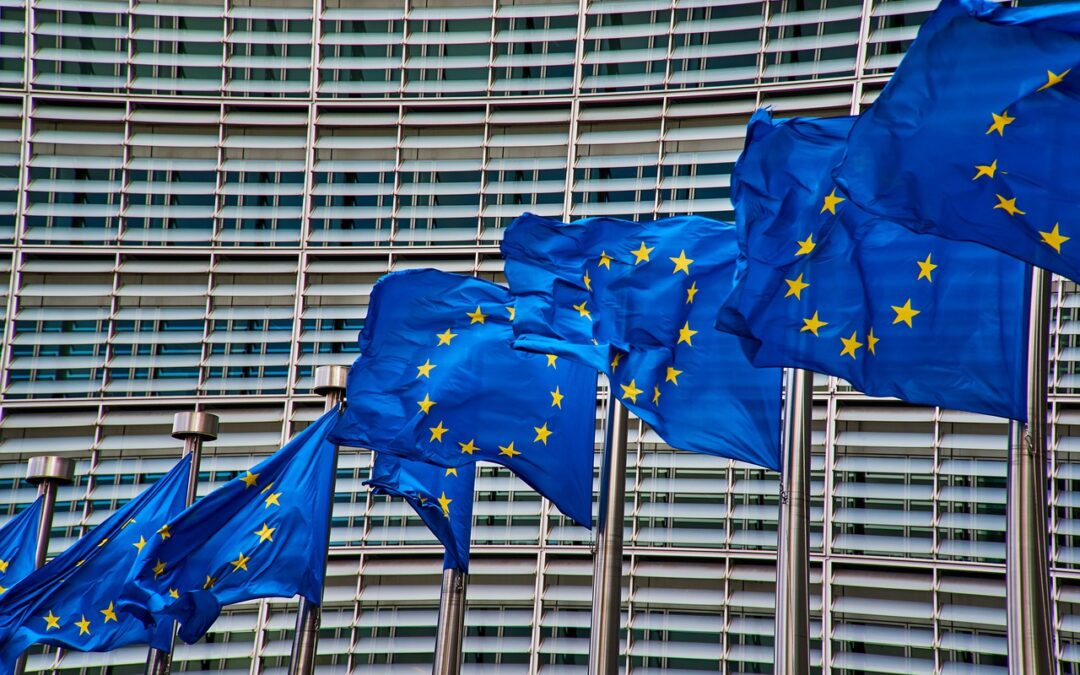 Lezing: Dhr Stokvis over de voor- en nadelen van een verenigd Europa
